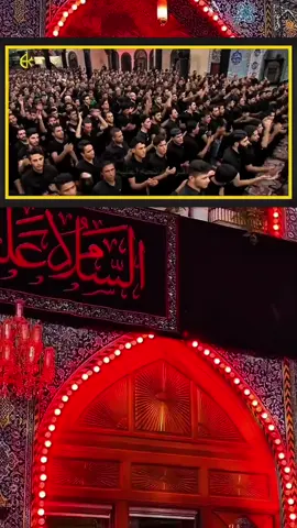 تسبيح الأمل...عن داري من رحل...ودعته بإحساسي .. باسم الكربلائي #لطميات_حسينيه #محرم١٤٤٧ #أم_البنين #fypシ #fyp #viral #foryou 