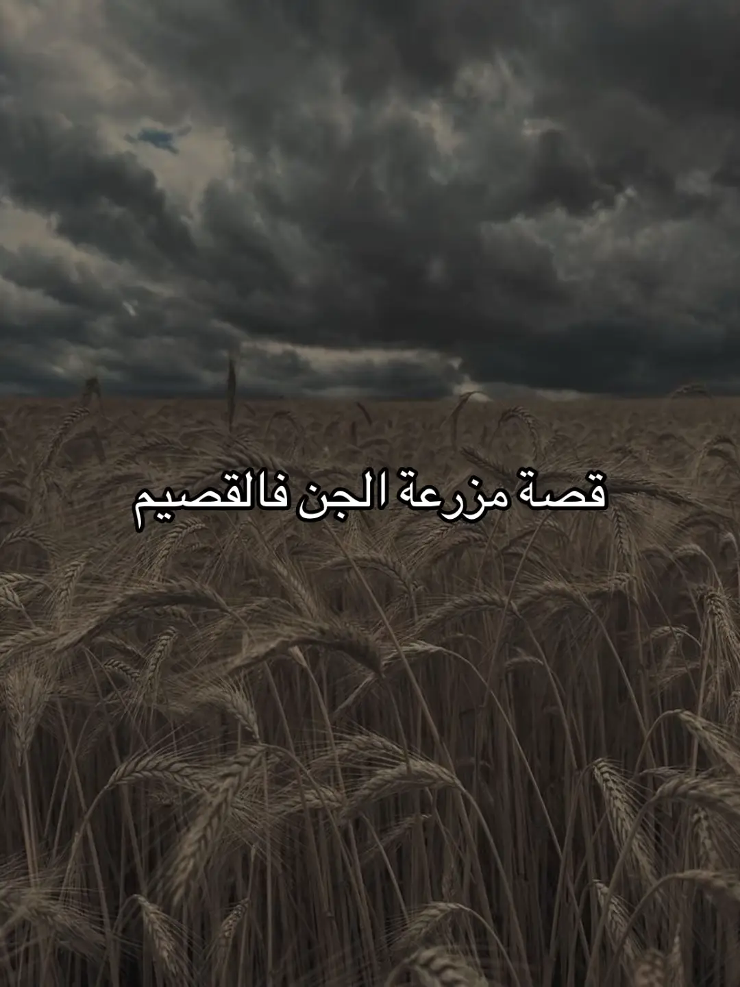#مزرعة_القصيم 