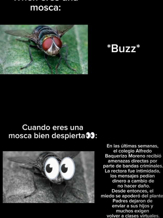 Lamentable... #void #ecuador #ecuador🇪🇨 #neomex #fyp #neonoir #Capcut 