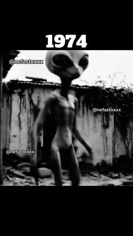 #ufo #ufoキャッチャー #ufos #alien #aliens #alienbff #alienigenas #alieno #footage #rare #ovni #mofos #creature #perte #neiperte #foryoupage❤️❤️ #fyp #parati #furdich #pourtoi #1974 #70s #1970s 