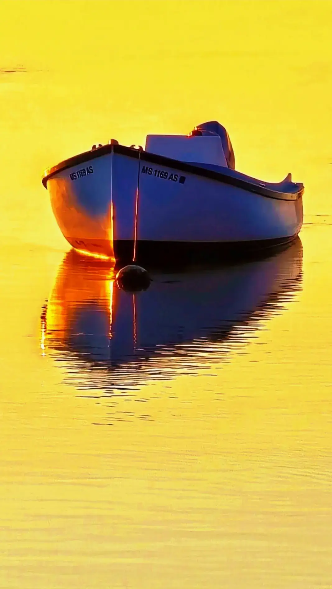More of a traditional cape cod shot. This was early morning dawn. Just incredible light. I love the way the ripples along the boat edges. It looks like fire.🔥 the composition with the reflection shot is incredible. This would make a nice cover magazine shot for cape cod life.#photographer 