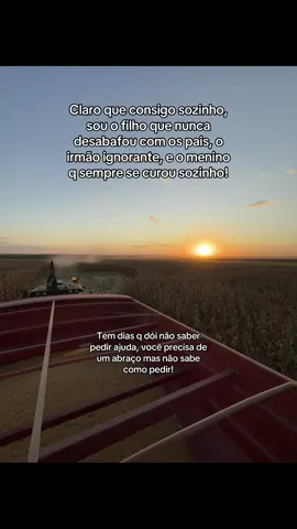 …….#vidanaroça #agricultura #agro #fyyyy #agroboy #reflexion #fazenda #frase #triste #fypシ゚ #vaiprofycaramba 