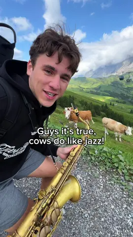 Bro was trying to talk to me 😭 . . . #fyp #viral #cows #saxophone 
