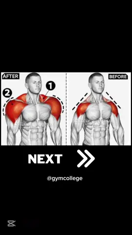 Shoulder day