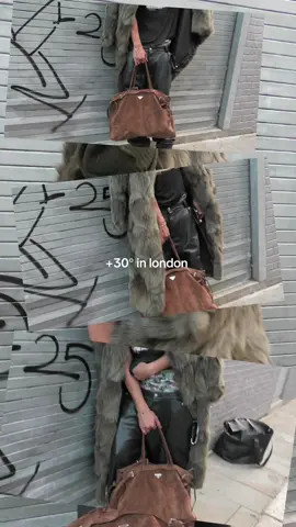 Our furs 