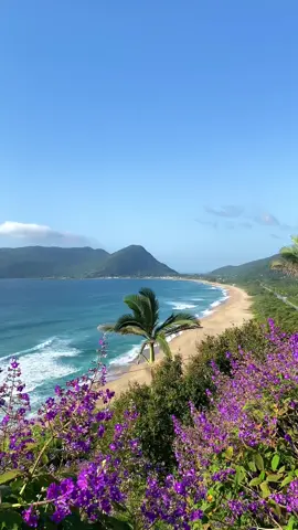 Uma das vistas mais lindas de Floripa! Sdd verãozinho ✨🥹 #florianopolis #ilhadamagia #floripa #verao #sc 