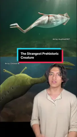 #prehistoric #animal #nature #evolution #ocean  