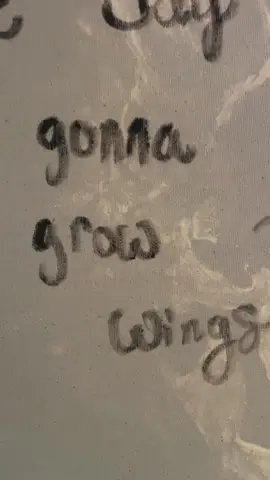 I’m gonna grow wings 🪽 #fyp #fypp #fypp #fypシ #onedayimgonnagrowwings 