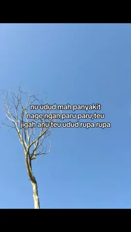 tuh anu teu udud rupa rupa . . . #katakata #katakatasunda #sunda #4u #xcyzba #storysunda #foryou #lewatberanda #bahanswmu #fyp #fyppppppppppppppppppppppp 
