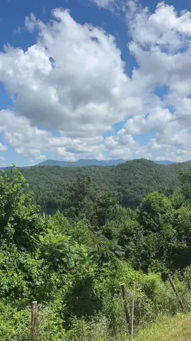 Let’s go on a hike  