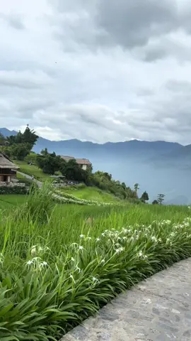 ⛰️ Hít một hơi thật sâu cảm nhận từng hơi thở của núi rừng Tây Bắc ⛰️ #topasecolodgesapavietnam  #sapa 