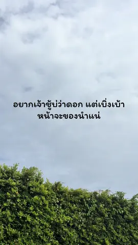 #เว้าพื้นคน #เธรดวันนี้ #คนไทยเป็นคนตลก 