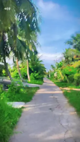 Về quê anh hong em….#bentre71🌴🥥 #vĩnhlong #mientay #fypシ #mientayquetoi #canhdep 