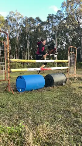 #125cm #hobbyhorsepov #povstoriess ##hobbyhorsefyp #highjump #highjump #deressage #hobbyhorsehighjump #hobbyhorsejump #hobbyhorsemene 