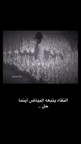 #صباح_الخير #فيديوهاتي #تصاميمي 