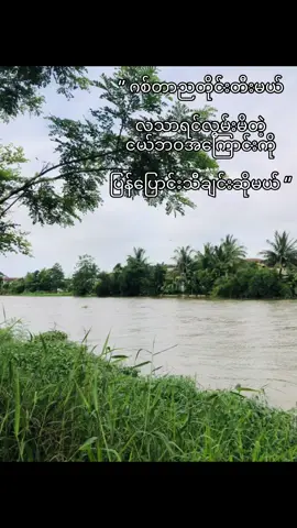 စကားမပြောချင် #acid_shelby #crd #စကားမပြောချင် 