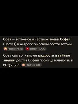 #сова #тотемноеживотное #рек #софья
