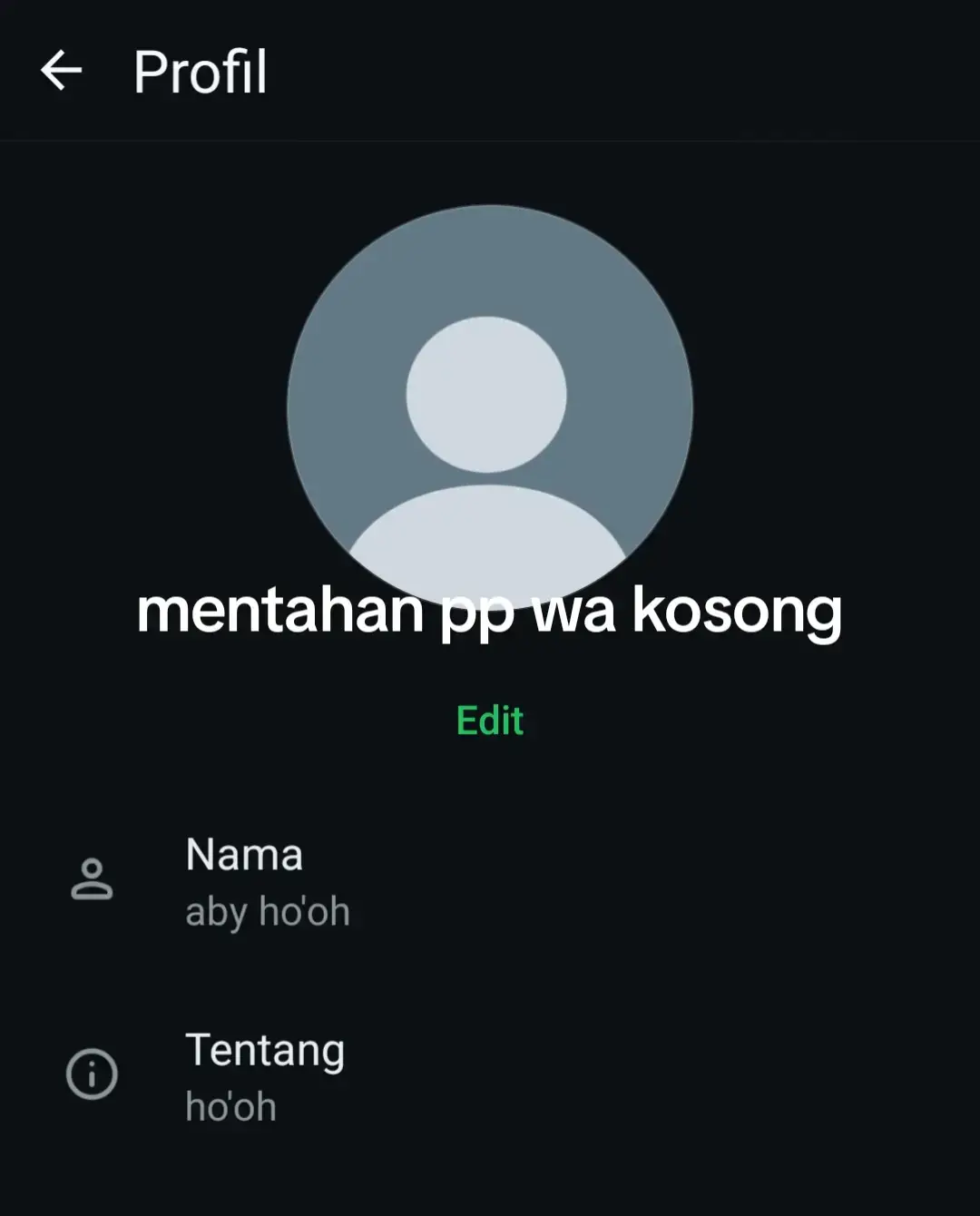 #ppwa #wa #pp #abyhooh #fyp #xyz #fypdong  #masukbernda  #fypp 