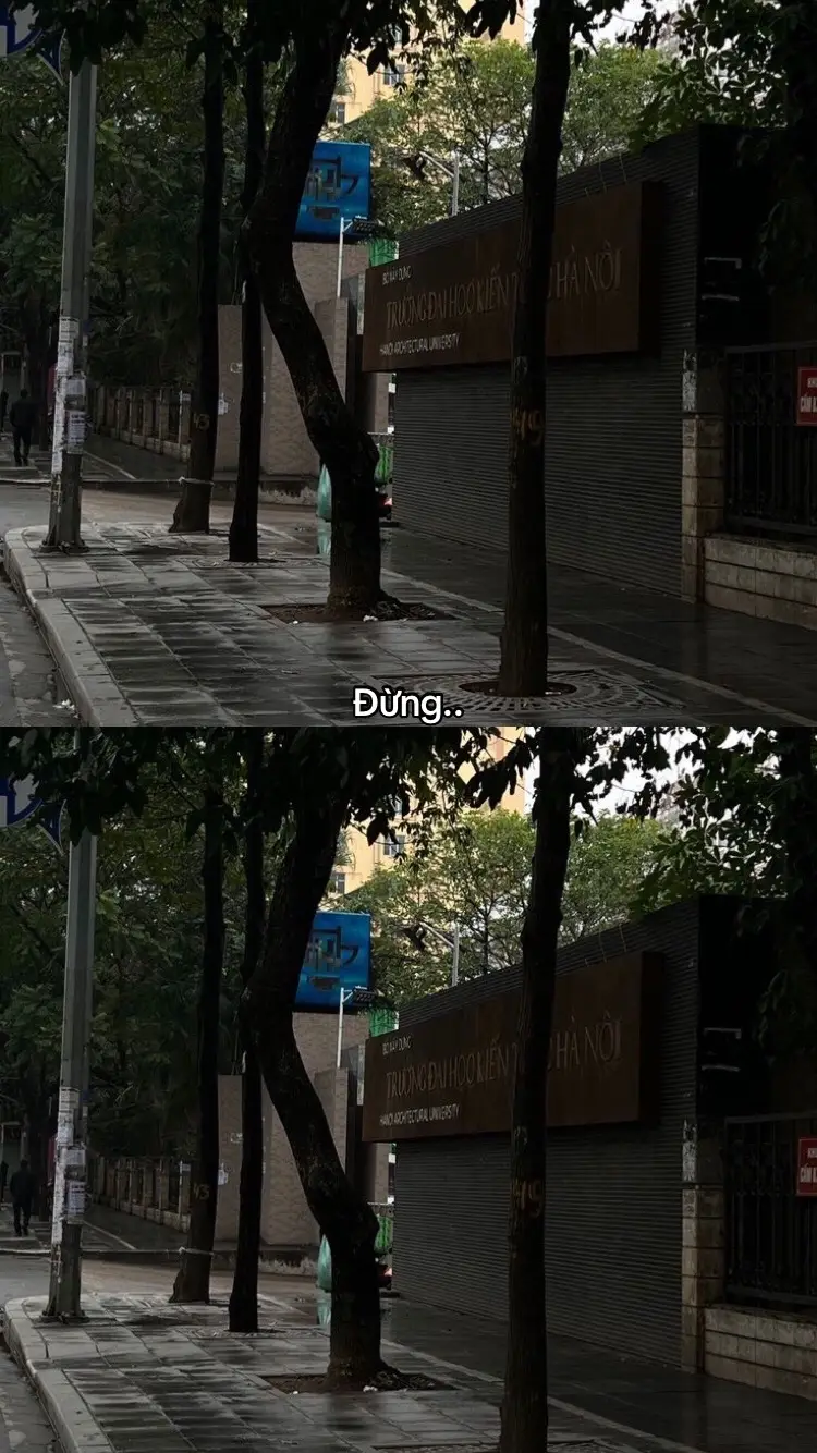#_vanhieu209 #fyp #tamtrang #fbtxuhuong #ddnxuhuong #tinhyeu 