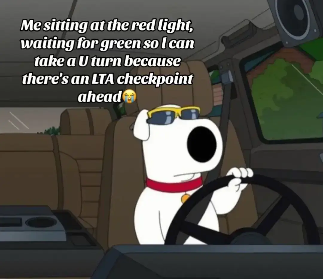 #creatorsearchinsights  #goviral 