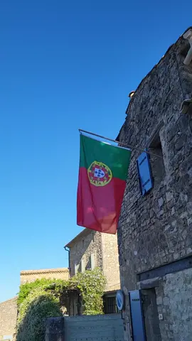 -Portugal, drapeau adopté en 1911 -Portugal, flag adopted in 1911 -Portugal, bandeira adotada em 1911 #Portugal #lisbonne #lisbon #lisboa #Europe #europa #flag #jourdudrapeau #flagday #drapeau #flagcollector #flag #vexillology #flagday #anthem #hymne #nationalday #vexyllologie #vexillologist #viralflag #rogerflag #flagtiktok #flyingflag #30juin #june30th #1911 