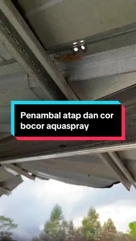 Atap rumah anda bocor belikan aquaspray aja nih mudah di gunakan isi 500gram #aquaspray#antibocor#penambalatapbocor#rumahbocor#fyp 