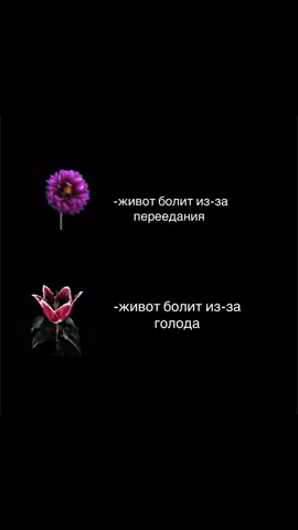 🙏🏻🙏🏻💔  длинное описание увеличивает просмотры примерно в 3 разадлинное описание увеличивает просмотры примерно в 3 разадлинное описание увеличивает просмотры примерно в 3 разадлинное описание увеличивает просмотры примерно в 3 разадлинное описание увеличивает просмотры примерно в 3 разадлинное описание увеличивает просмотры примерно в 3 разадлинное описание увеличивает просмотры примерно в 3 разадлинное описание увеличивает просмотры примерно в 3 разадлинное описание увеличивает просмотры примерно в 3 разадлинное описание увеличивает просмотры примерно в 3 разадлинное описание увеличивает просмотры примерно в 3 разадлинное описание увеличивает просмотры примерно в 3 разадлинное описание увеличивает просмотры примерно в 3 разадлинное описание увеличивает просмотры примерно в 3 разадлинное описание увеличивает просмотры примерно в 3 разадлинное описание увеличивает просмотры примерно в 3 разадлинное описание увеличивает просмотры примерно в 3 разадлинное описание увеличивает просмотры примерно в 3 разадлинное описание увеличивает просмотры примерно в 3 разадлинное описание увеличивает просмотры примерно в 3 разадлинное описание увеличивает просмотры примерно в 3 разадлинное описание увеличивает просмотры примерно в 3 разадлинное описание увеличивает просмотры примерно в 3 разадлинное описание увеличивает просмотры примерно в 3 разадлинное описание увеличивает просмотры примерно в 3 разадлинное описание увеличивает длинное описание увеличивает просмотры примерно в 3 разадлинное описание увеличивает просмотры примерно в 3 разадлинное описание увеличивает просмотры примерно в 3 разадлинное описание увеличивает просмотры примерно в 3 разадлинное описание увеличивает просмотры примерно в 3 разадлинное описание увеличивает просмотры примерно в 3 разадлинное описание увеличивает просмотры примерно в 3 разадлинное описание увеличивает просмотры примерно в 3 разадлинное описание увеличивает просмотры примерно в 3 разадлинное описание увеличивает просмотры примерно в 3 разадлинное описание увеличивает просмотры примерно в 3 разадлинное описание увеличивает просмотры примерно в 3 разадлинное описание увеличивает просмотры примерно в 3 разадлинное описание увеличивает просмотры примерно в 3 разадлинное описание увеличивает просмотры примерно в 3 разадлинное описание увеличивает просмотры примерно в 3 разадлинное описание увеличивает просмотры примерно в 3 разадлинное описание увеличивает просмотры примерно в 3 разадлинное описание увеличивает просмотры примерно в 3 разадлинное описание увеличивает просмотры примерно в 3 разадлинное описание увеличивает просмотры примерно в 3 разадлинное описание увеличивает просмотры примерно в 3 разадлинное описание увеличивает просмотры примерно в 3 разадлинное описание увеличивает просмотры примерно в 3 разадлинное описание увеличивает просмотры примерно в 3 разадлинное описание увеличивает #рхпнеромантично #рхп #похудение #голод #переедания 