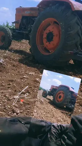 #الشعب_الصيني #مالها #حل😂  #ابو#محمد#الغالي 