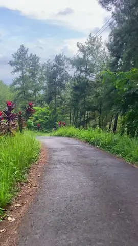 #banyumas #banyumas24jam #banyumasvibes 