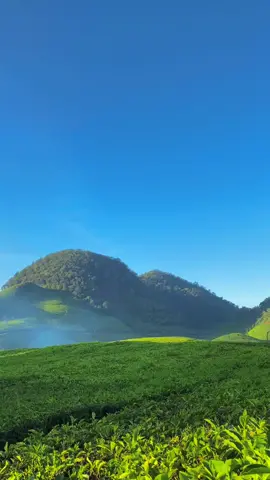 Kaki gunung sunan ibu  #kebunteh #fypシ #trend #foryou #estetik #viraltiktok #gunung #pendakifomo #pendaki #jawabarat 