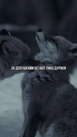 За девушками бегают слабаки🤔 #психология #саморазвитие #мотивация #философия #успех #мотивациянауспех 
