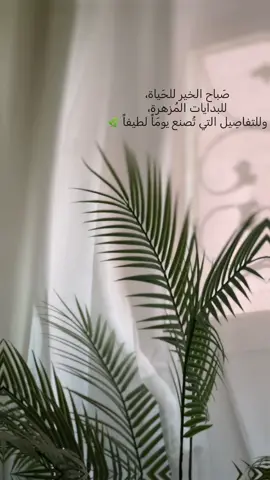 #صباح_الخير #روقان #نسكافيه #أذكار_الصباح #اكسبلور #هدوء 