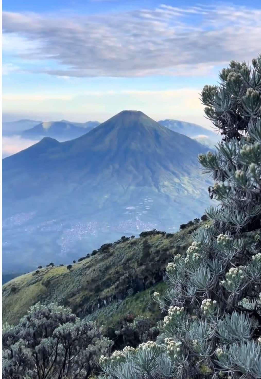 ⛰️Sumbing 3371 mdpl ✅ track summitnya sgt membuat jantungan🙂 klo disuru via gajah mungkur lagi cuma mau sampai sunset camp area aja (karena kmrn full kabut pas sunset🥲) #gunung #gunungsumbing #gunungsumbing3371mdpl #gunungsumbingviagajahmungkur #gajahmungkur #pendakigunung #pendaki #wonosobo #jawatengah #muncakgunung 