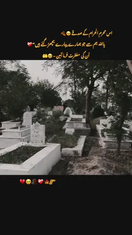 🤲🥹💔🍂#foru #viral #video #urdupoetry #urdushayari #sad🥹🍂#viewsproblem😭 #onlyforyou #grow #account #aliyanakram74 #unfrezzmyaccount 