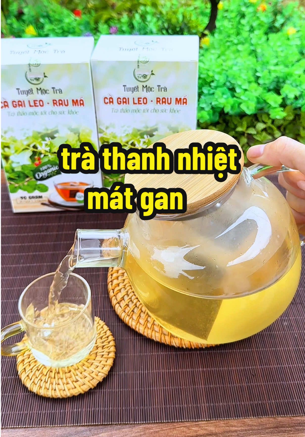 trà cà gai leo rau má thanh nhiệt mát gan #trà #tramatgan #tracagaileorauma #giahuy2021 