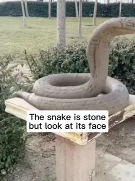 SNAKE IS STONE #pretty #CapCut #kikilking #trendchallenge #prank #blowthisuptiktok❤️ #trendingtemplate 