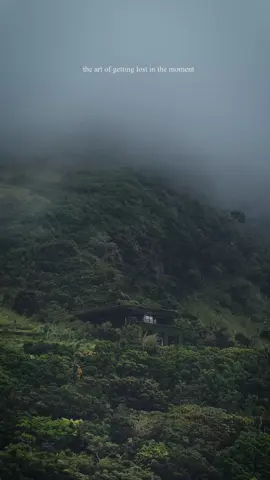 “The art of getting lost in the moment, in the place, in the silence” #NatureLovers #MountainVibes #LostInNature #NatureIsHealing #Wanderlust #Mistymountains #IntoTheWild #ScenicViews #EarthMood #WindInTheWoods #NatureAesthetic #CloudsAndMist #MountainMagic #ChasingSilence #TheGreatOutdoors #ExploreMore #SerenityNow #SilentWanderer #MotherNature #VelvetSundown #NatureEscape #WanderWithMe #FindYourPeace #MoodyMountains #LostInTheMoment #FYP #Viral #TikTokNature #Trending #ExplorePage