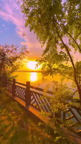 দুনিয়াতে বেশি আবেগ দেখায়ও না🥹😔# tik tok# for you #