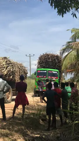 බැහැපු ලොරිය අදින්නේ ටැපේන් සියබලන්ඩුවේ අපි 🙂💗#1milionaudition  #viral_video #100k  #trending #foryou  #typpppppppppppp
