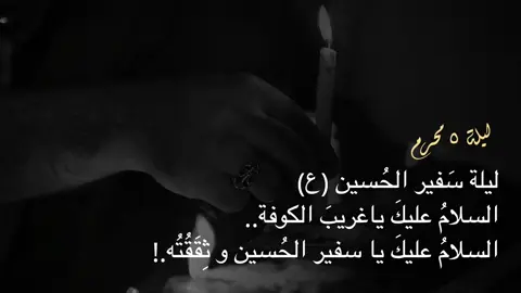 ليلة ٥ محرم ليلة مسلم بن عقيل | السلام عليك يا غريبَ الكوفة السلام عليك يا رسول الحُسين وثقته!😞💔. #ليلة #مسلم_بن_عقیل #محرم #العراق #بغداد #ستوريات 