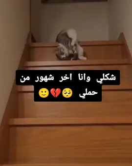#وضعي_مع_الحمل🙂😪 #حوامل_اي_شهر_صرتو_🤰🤰😍🦋 #شو_معكم_بنوتي_ول_صبي💙💖 