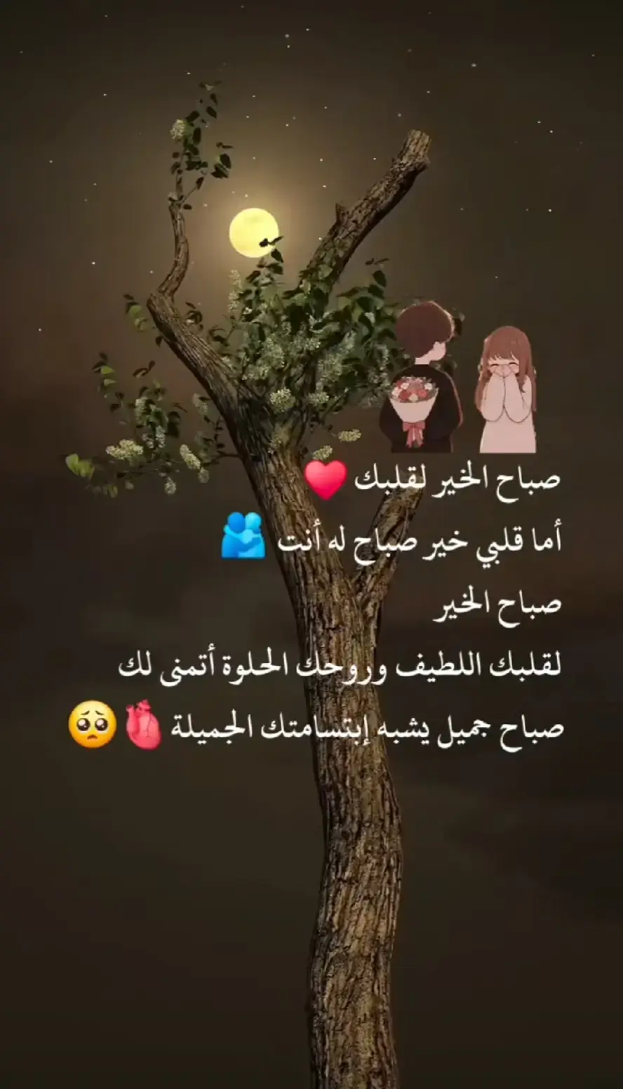 صباحي انت وحياتي ودنيتي 🫶❤️