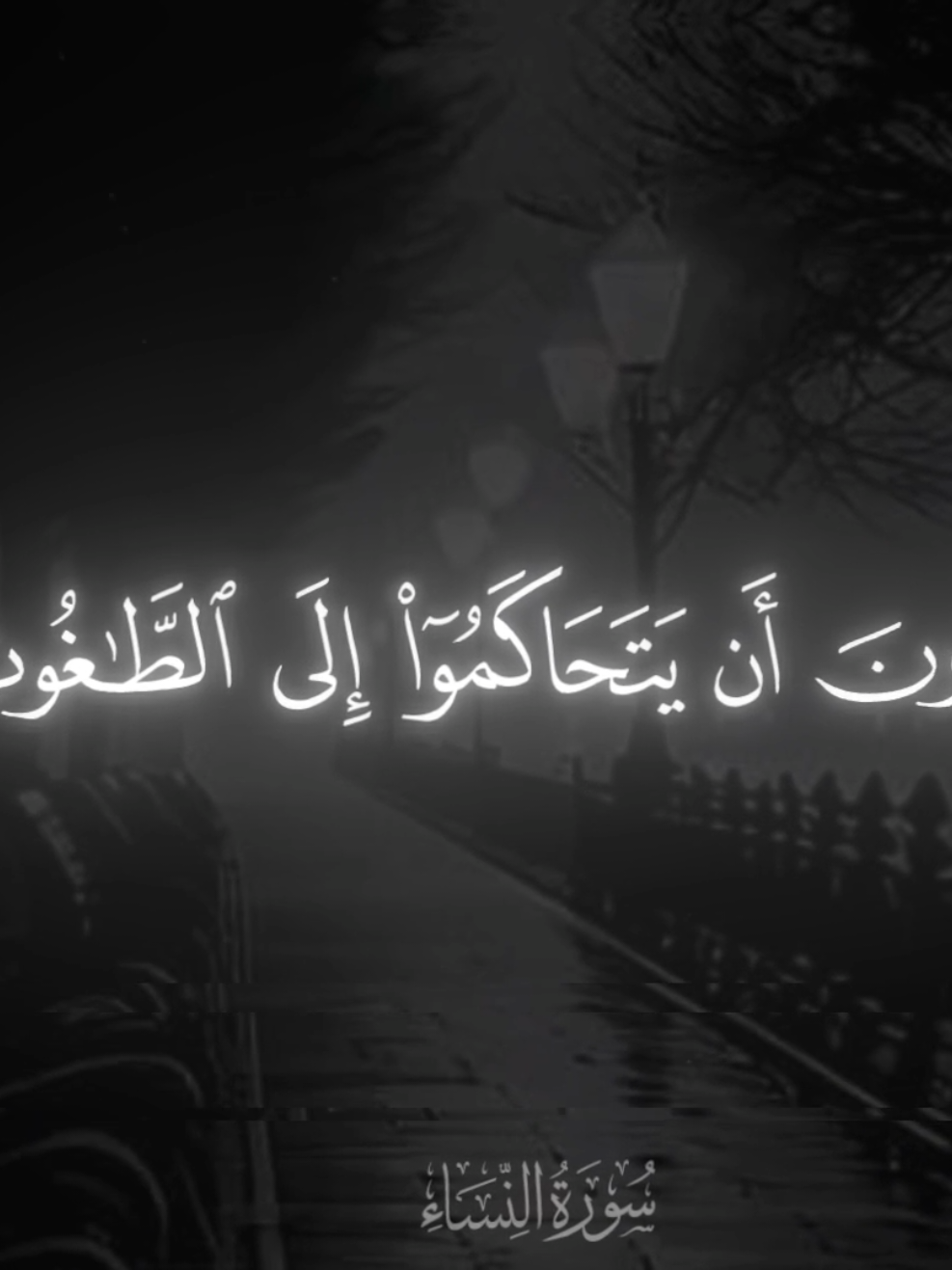 #سورة_النساء #محمد_اللحيدان يريدون ان يتحاكموا الى الطٰٰغوت #تلاوة_خاشعة #ارح_سمعك_بالقران 