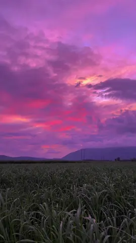 in honour of this vid getting a million views I’m reposting it 🪁 #australia#nature#beautiful#view#aesthetic#fyp#foryou#pretty#landscape#aesthetic#photo#cinematic#photograph#sunset#tellherthetruth#audio#Love#destiny#purplesunset 