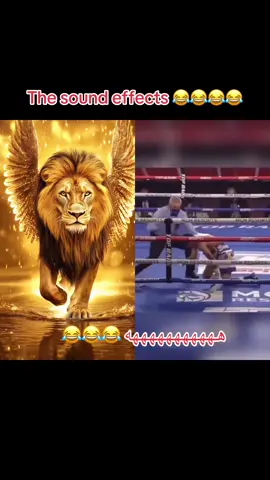 #duet with @ufc #UFC  🤣🤣 #eisaghambari7 