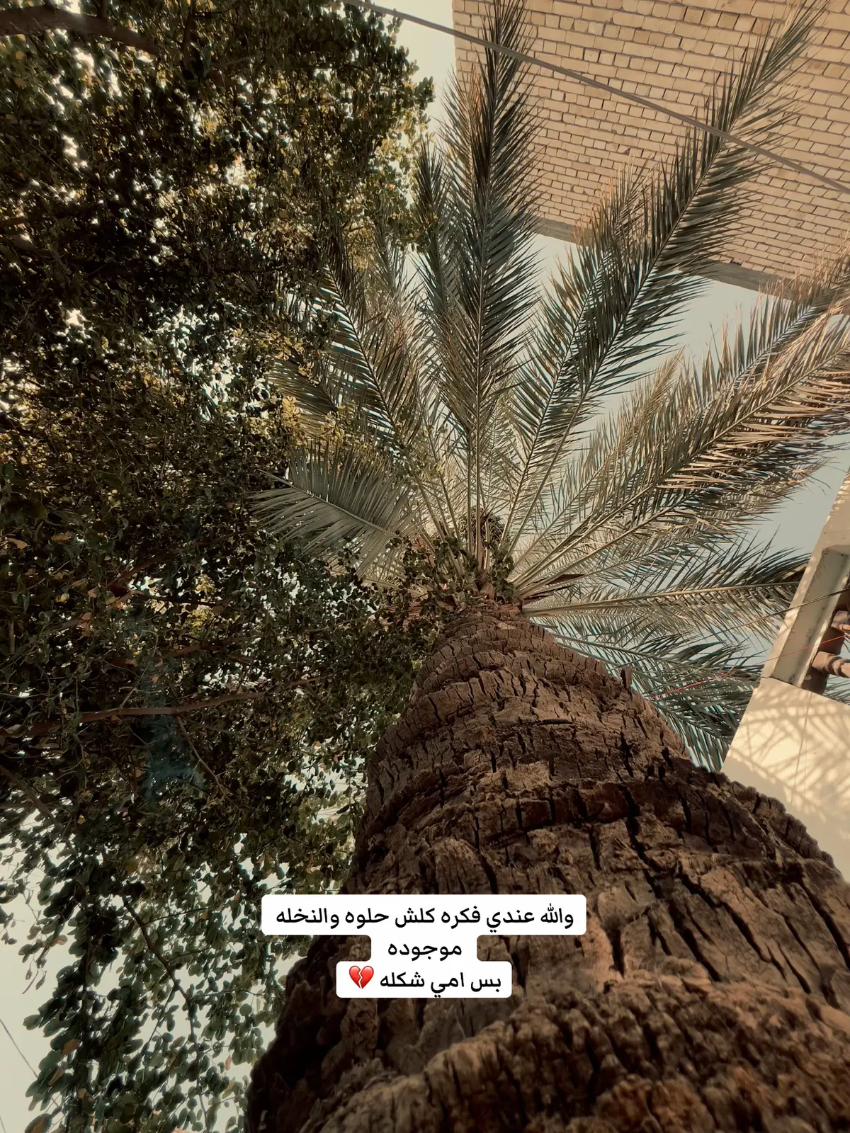 #مصور #تصويري_احترافي_الاجواء👌🏻🕊😴 #تصويري #اكسبلوررر #لايك__explore___ #بغداد #الحريه #الدولعي_شارع_الغاز #الدولعي💞_الحرية_💕الكاظمية #الكاظميه 