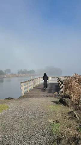 morning walk with my daughter around misty Lilydale Lake.  #walkswithcass #lilydalelake #Fitness #walks #naturewalks #fyp #photography #Melbourne #Australia 