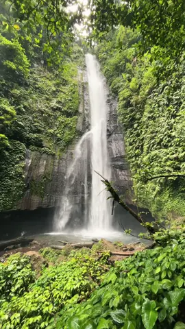 hidden gem di bogor, ga cocok buat yang fomo, karena sesulit itu. kmren ada yang baru pertama kali gapake tour guide, alhasil nyasar😭 soon gua upload versi lengkapnya! - #curugcisadane #curugbogor #explorebogor 