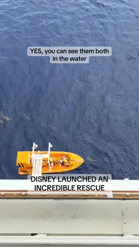 DISNEY DOD AMAZING, DAD DID AMAZING ! WE DONT KNOW WHAT HAPPENED BUT THE CHILD AND FATHER ARE ALIVE GIVE GOD THE GLORY #fyppppppppppppppppppppppp #crimetok #awareness #breakingnews #BODYCAM #BODYCAM #cops #mom #disney 