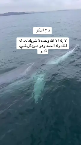 تاج الذكر  لا إله الا الله وحده لا شريك له.. له الملك وله الحمد وهو علئ كل شيء قدير  #تاج_الذكر #تاج_الذكر_لا_اله_الا_الله_وحده_لا_شريك #اكسبلورexplore #تاج_الذكر_راحة_🌹❤️ #المملكه_العربيه_السعوديه #المملكه_العربيه_السعوديه🇸🇦 #اكسبلور #fo #football #fouryou #الشعب_الصيني_ماله_حل😂😂 #الشعب_الصيني_ماله_حل #الممكن_المستحيل #السعودية #foryoupage 
